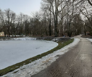 Siedleckie szkoły przy ul. Konarskiego i Prusa i ich okolica w lutym 2021 roku