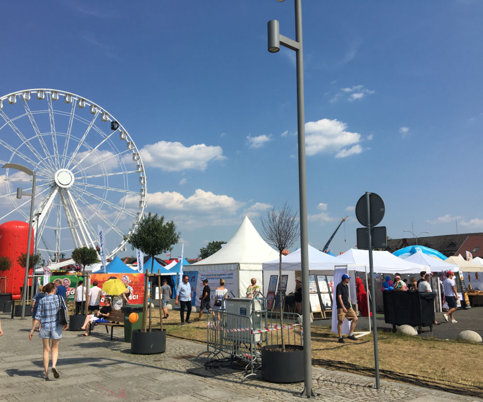 Piknik nad Odrą