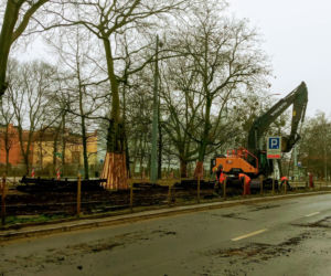 Ruszyła przebudowa torowiska na ul. Matejki