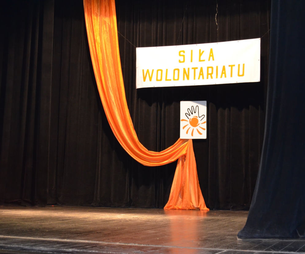 Dzień Wolontariusza Kraśnik 2019