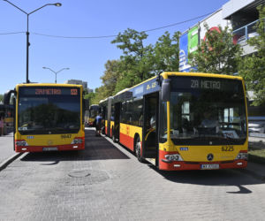 Miejskie autobusy w 2025 r.