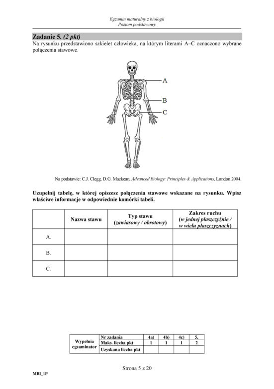 Matura 2018 z biologii. Poziom podstawowy - arkusze CKE