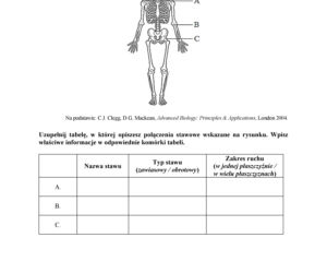 Matura 2018 z biologii. Poziom podstawowy - arkusze CKE