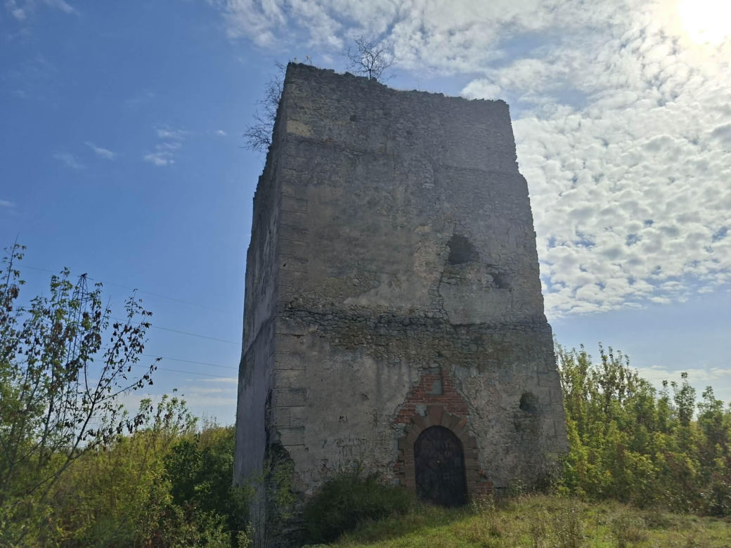 Tudorów