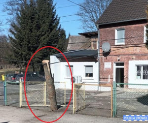 Sceny jak z Oszukać przeznaczenie pod szkołą! Kłoda drewna spadła tuż przy wejściu