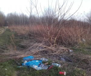 Dzikie wysypisko w Rzeszowie