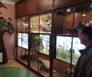 Nowe dioramy w muzeum