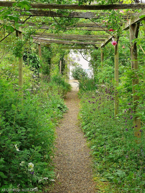 Pergola - żeby otoczyć się zielenią