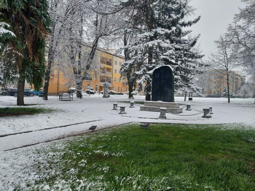 Zima w kwietniowym Zamościu. Sypnęło śniegiem