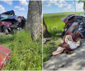 68-latek rozbił się pod Kętrzynem i zginął! Potworny wypadek przeżył jego pies [ZDJĘCIA]