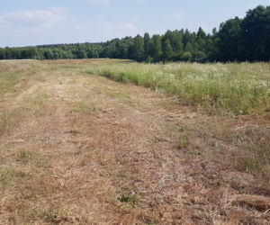Brat zabił brata po dopalaczach?
