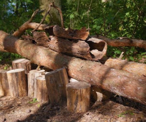 Farma, sezon 5, odcinek 17