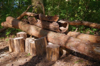 Farma, sezon 5, odcinek 17