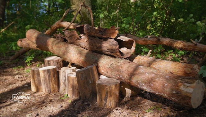 Farma, sezon 5, odcinek 17