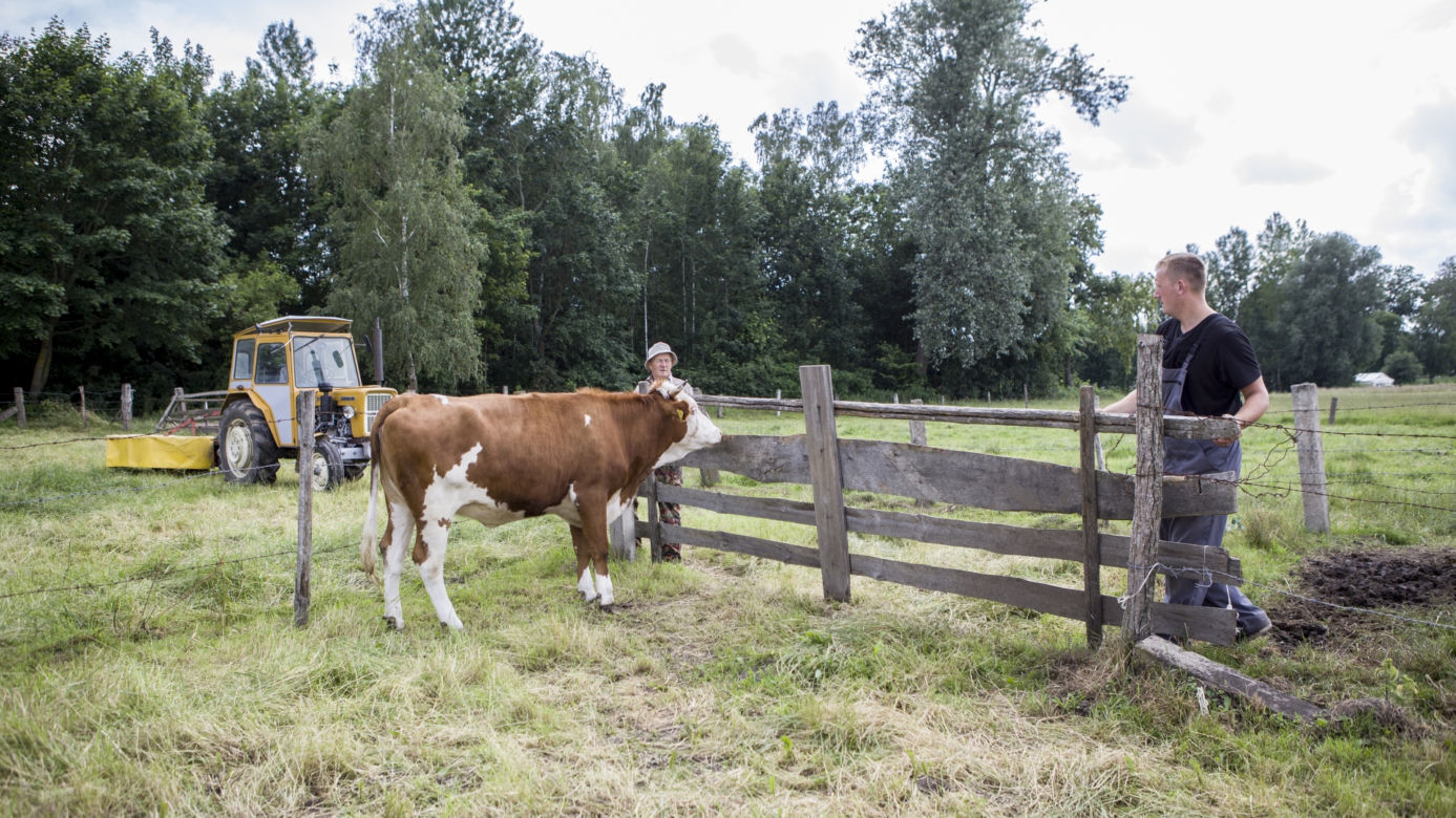Rolnicy. Podlasie odcinek 28 [PREMIERA 19.09.2021]