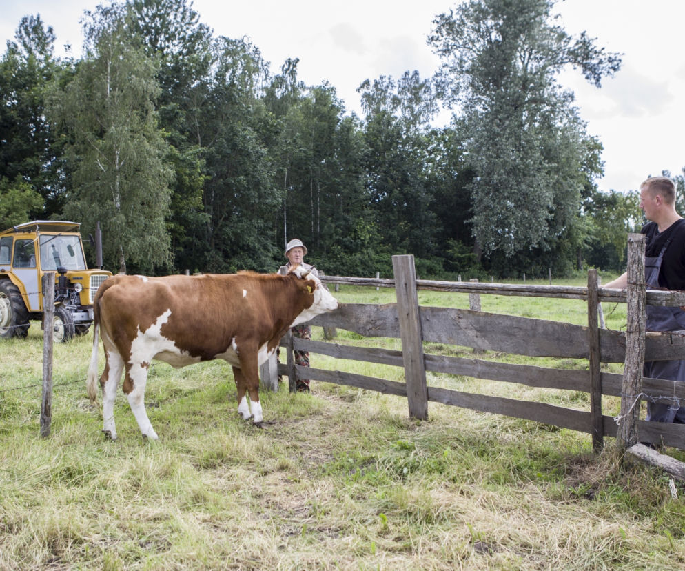 Rolnicy. Podlasie odcinek 28 [PREMIERA 19.09.2021]