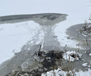 Heroiczna akcja strażaków w Nieporęcie. Pod psem załamał się lód