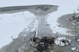 Heroiczna akcja strażaków w Nieporęcie. Pod psem załamał się lód