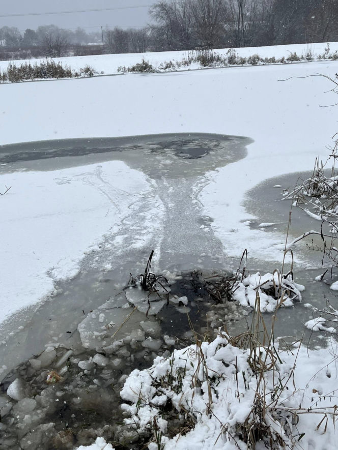 Heroiczna akcja strażaków w Nieporęcie. Pod psem załamał się lód
