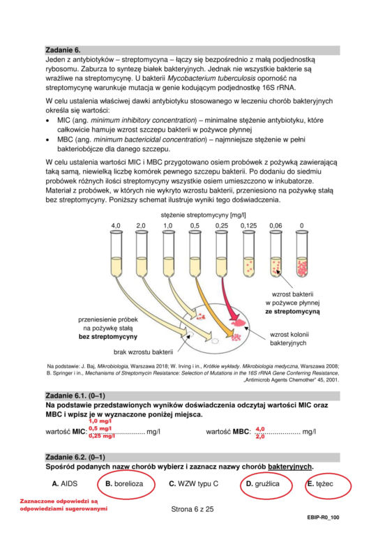 Matura 2022: biologia rozszerzona. Arkusze CKE, zadania, pytania. Poziom rozszerzony