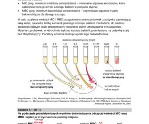 Matura 2022: biologia rozszerzona. Arkusze CKE, zadania, pytania. Poziom rozszerzony