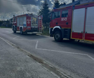 Powiat siedlecki: liczne interwencje strażaków w związku z wichurą