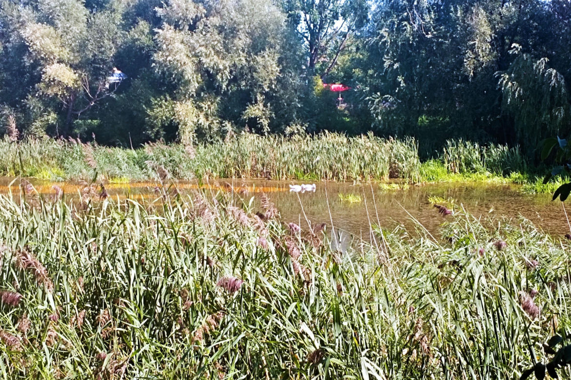 Zanieczyszczone Jezioro Słoneczne