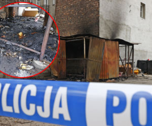 W pół godziny z Wilanowa do centrum. Umowa na nową trasę tramwajową podpisana