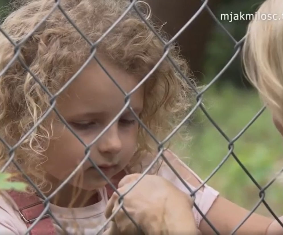 M jak miłość. Weronika sprzeda Polę za pieniądze! Tak skończy się jej walka z Kamilem o córkę