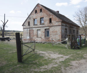Konie i kozy terroryzują wioskę