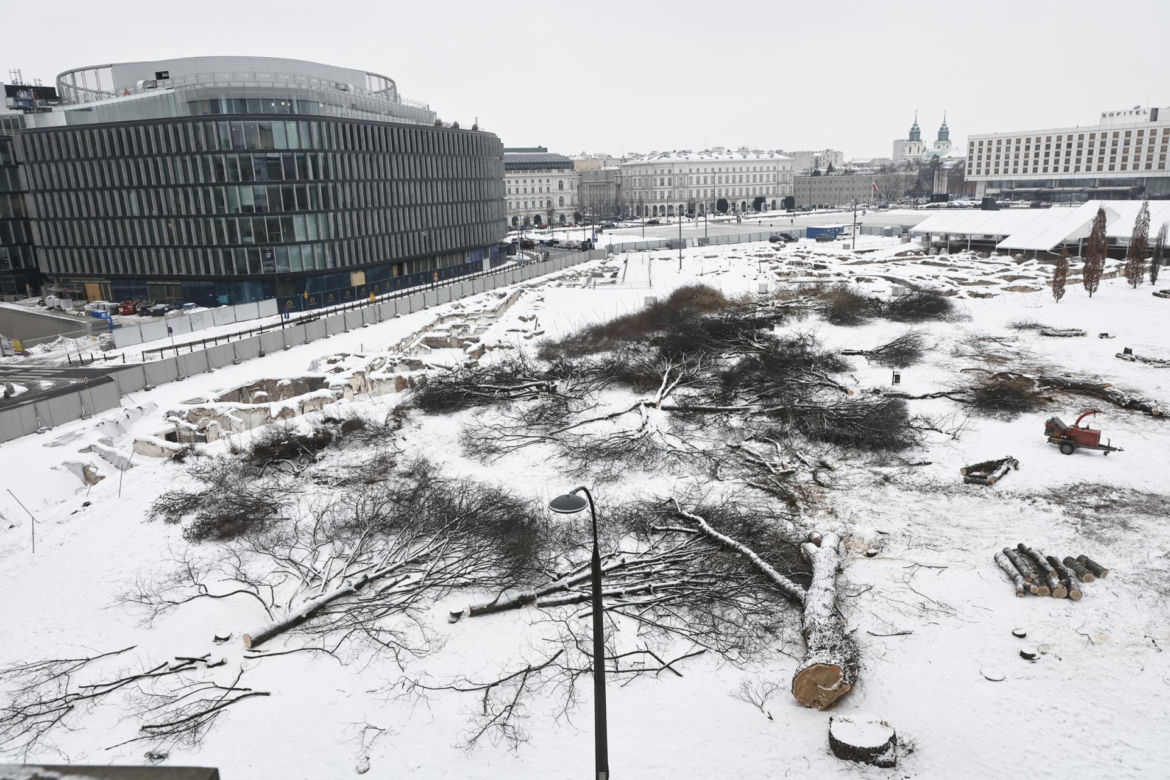 Rzeź drzew w parku w centrum Warszawy. Przygnębiający widok przed odbudową Pałacu Saskiego