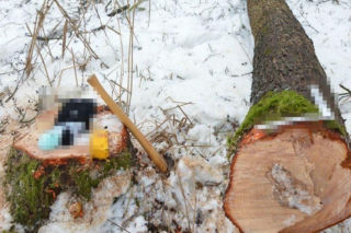 Śmiertelny wypadek podczas wycinki drzew. Nie żyje 66-latek