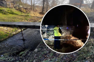 Nowe doniesienia po śmierci 11-letniej Danusi. Media: policjant miał stracić przytomność