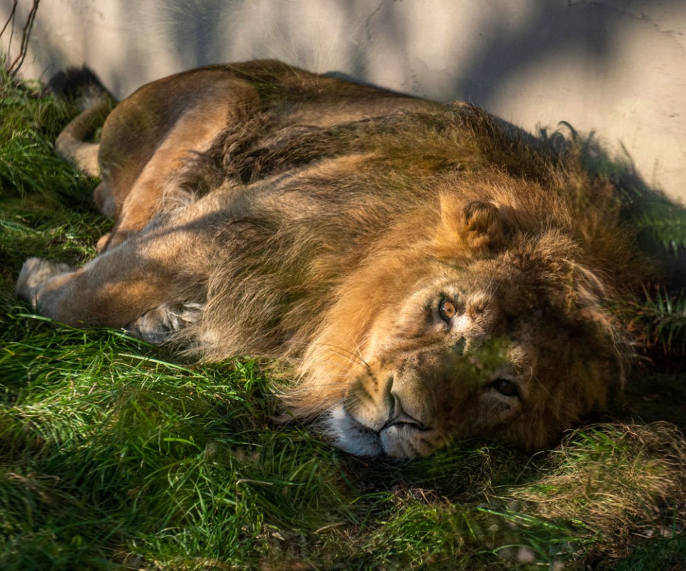 łódzkie ZOO