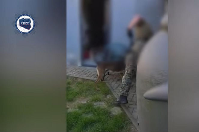23-latek planował zamach terrorystyczny na czołowych polskich polityków