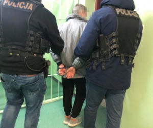 Strzelił do kota z wiatrówki, wszystko zarejestrowały kamery. 60-latkowi grozi więzienie