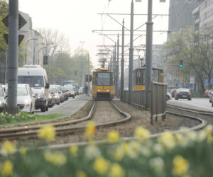 Warszawa w 2016 roku