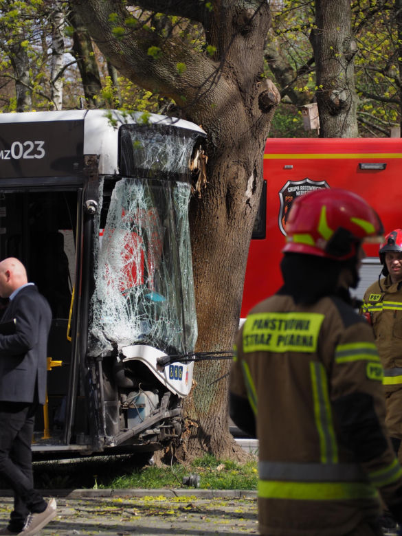 Autobus miejski wbił się w drzewo! Kilkanaście osób rannych