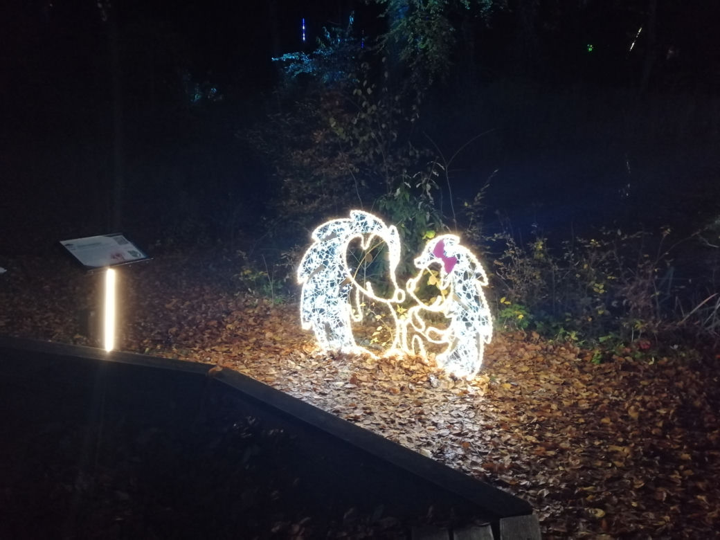Park Iluminacji w Poznaniu