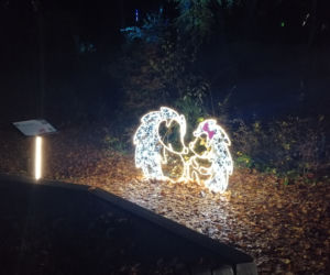 Park Iluminacji w Poznaniu