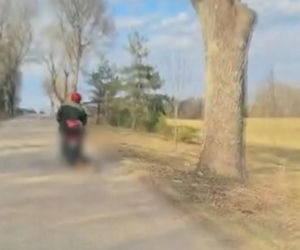 72-latek ciągnął psa za motorowerem. Zwierzę nie przeżyło