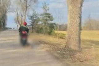 72-latek ciągnął psa za motorowerem. Zwierzę nie przeżyło