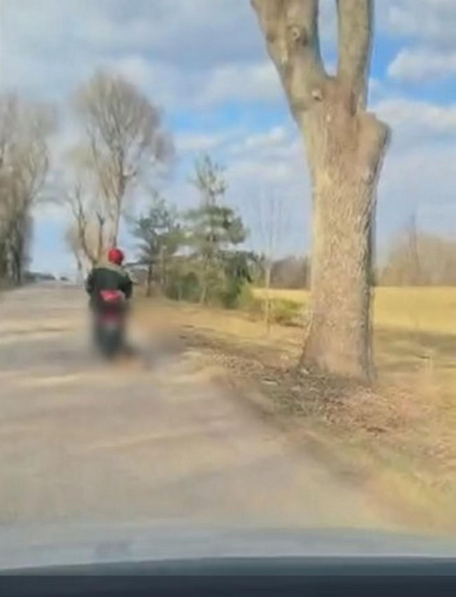 72-latek ciągnął psa za motorowerem. Zwierzę nie przeżyło