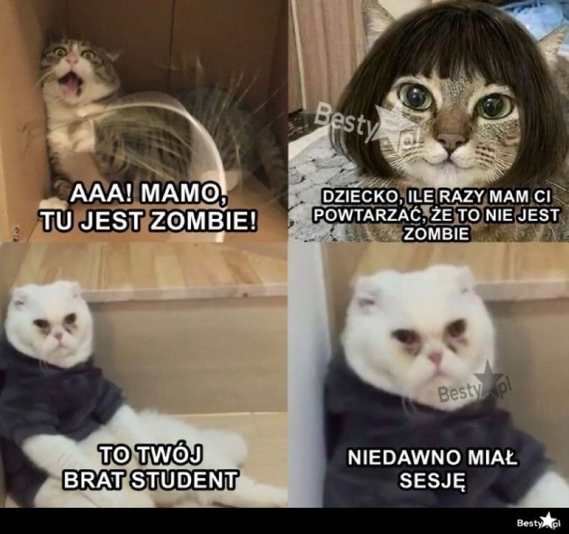 Tak studenci walczą o zaliczenie! Zobacz najlepsze MEMY o sesji!