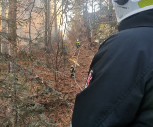 Wyrzucał popiół z kominka, ogniem zajął się hektar lasu w Baligrodzie [Zdjęcia]