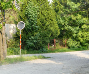 Ryszard P. przez 16 lat skrywał mroczny sekret