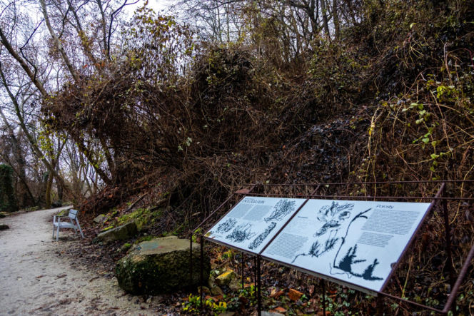 Park Akcji "Burza" w jesiennej odsłonie