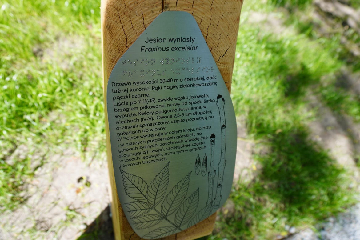 Tak wygląda park w dolinie Ślepiotki w Katowicach