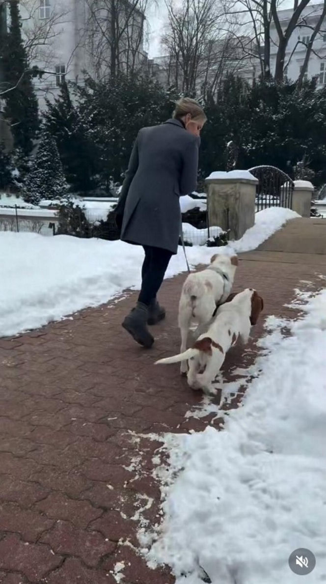 Pieski w Pałacu Prezydenckim