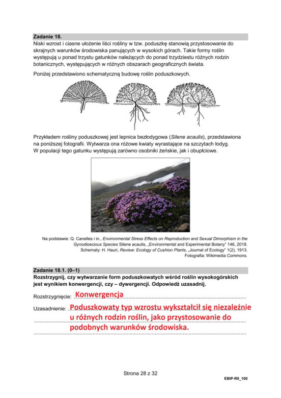 Matura 2025: biologia 9.05.2025. Arkusze CKE i odpowiedzi [Formuła 2015]